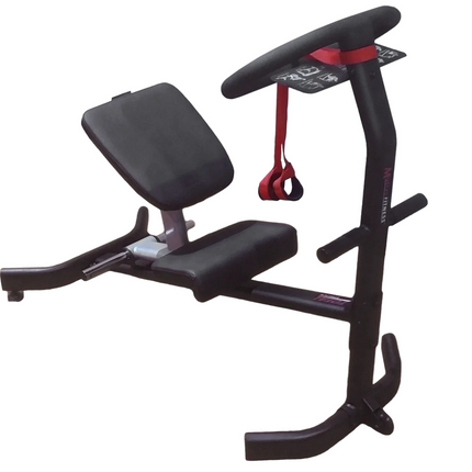 Motive Fitness TS100