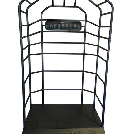 Motive Fitness TS250