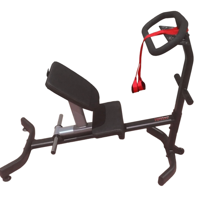 Motive Fitness TS100