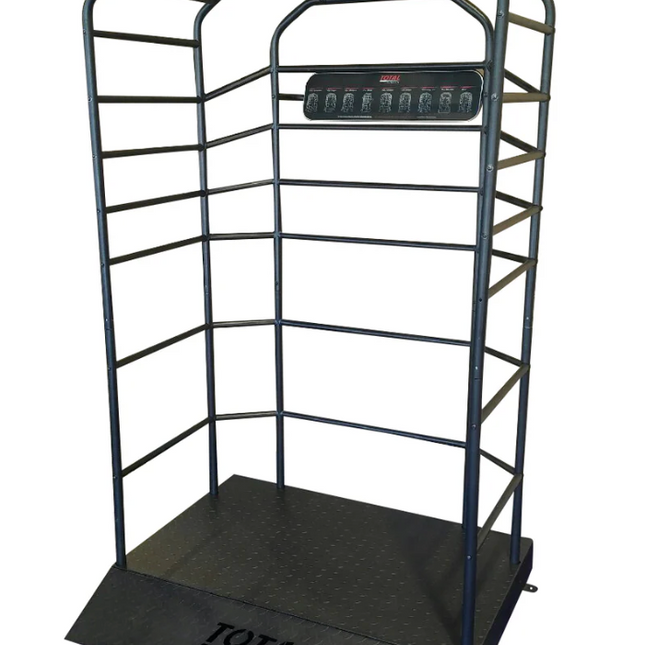 Motive Fitness TS250