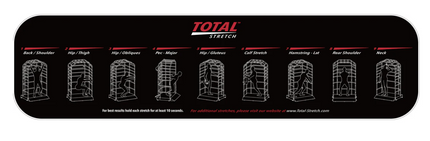 Motive Fitness TS250